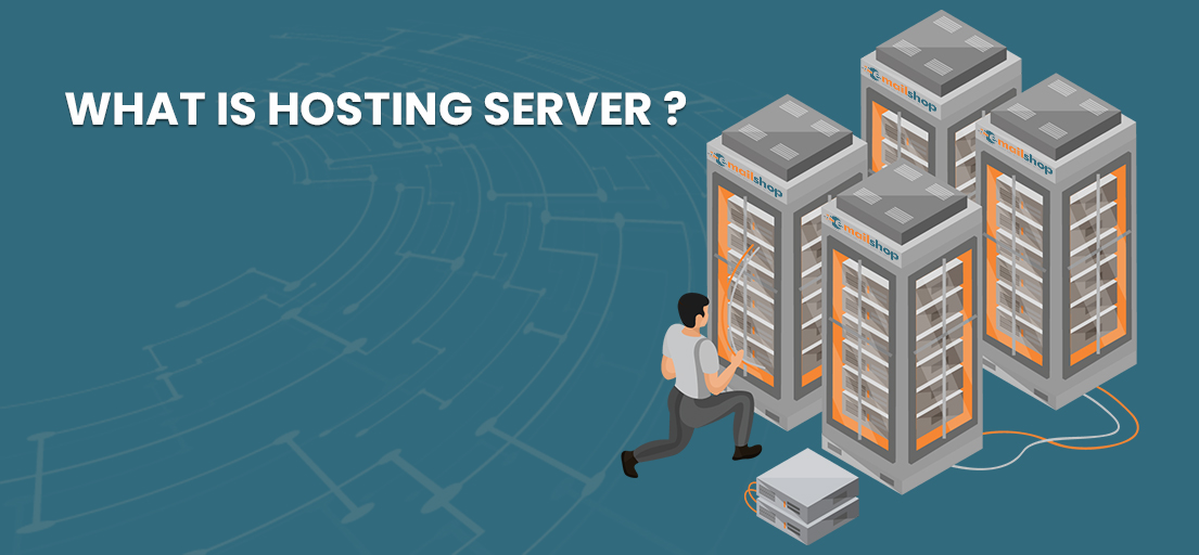 difference between domain and host